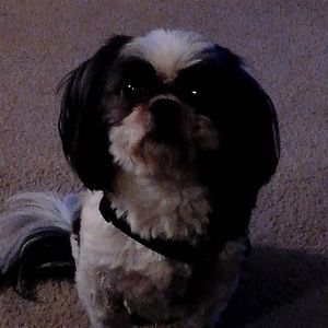 Meet your Posher, Robyn